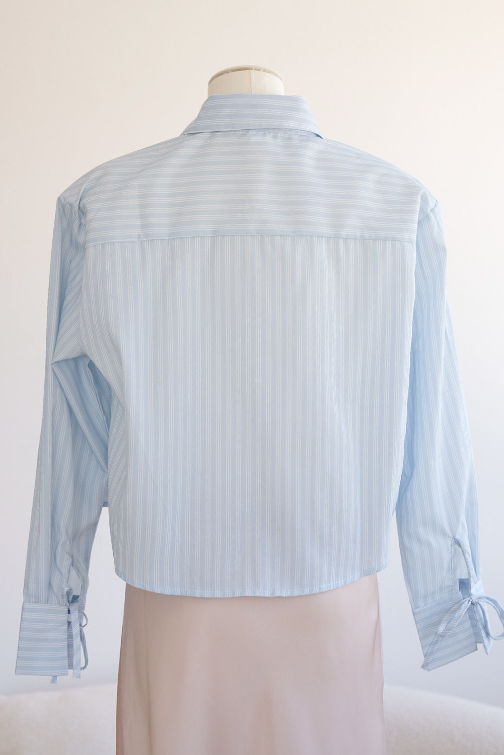 Blue Ribbon Long-Sleeve Collared Top