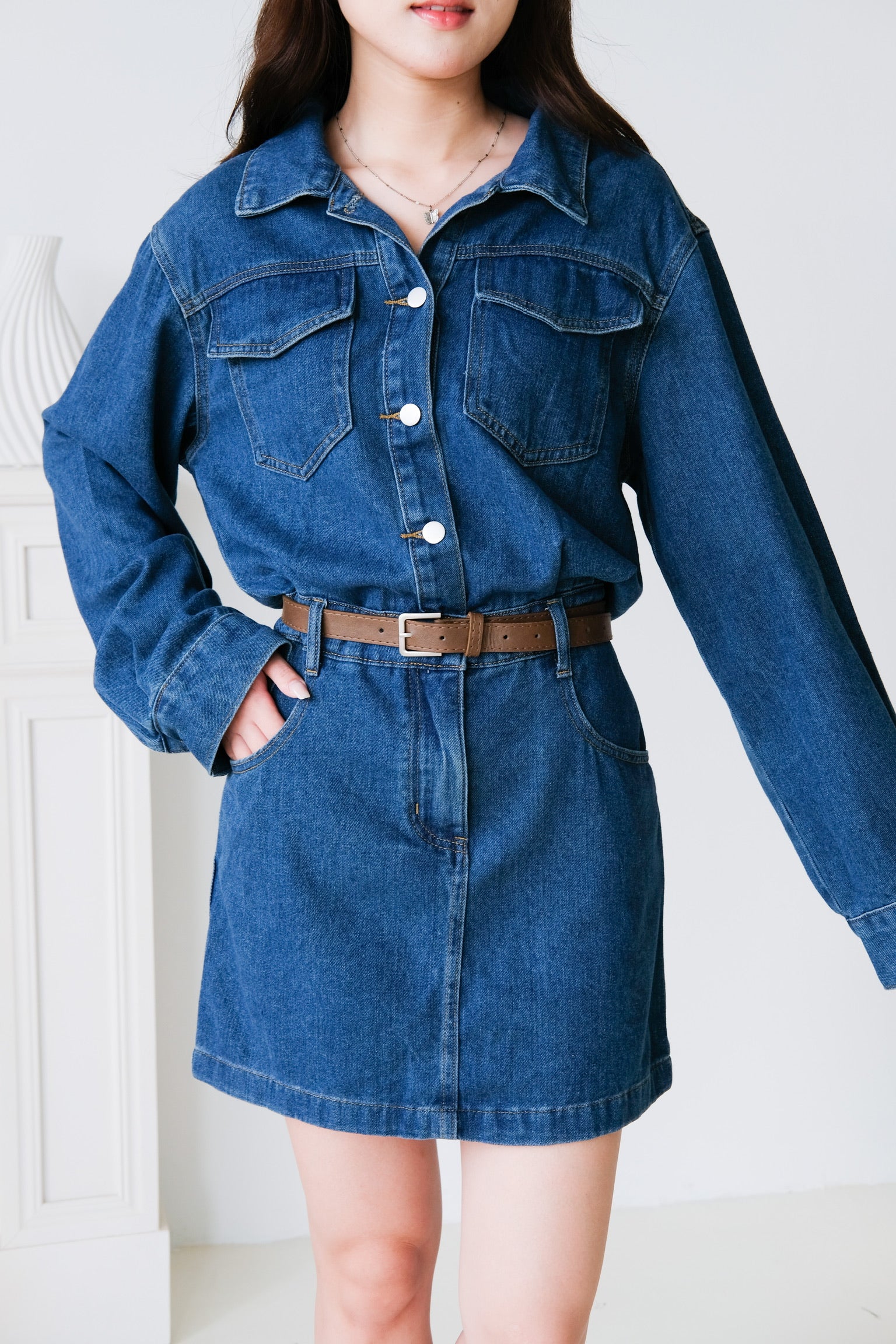 Janelle Denim Collared Dress (Blue)