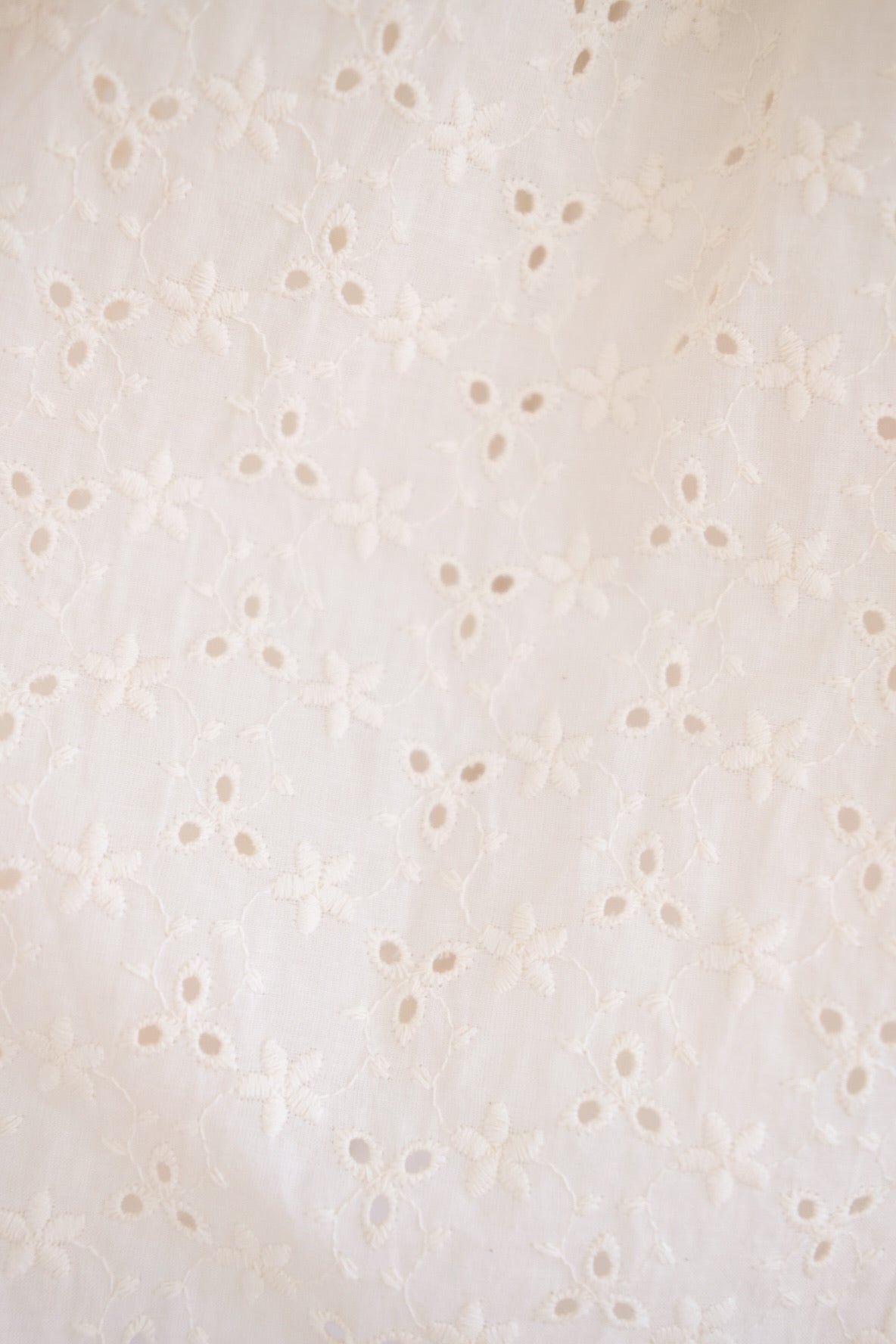 Reyna V Neck Eyelet Skater Dress (Cream)