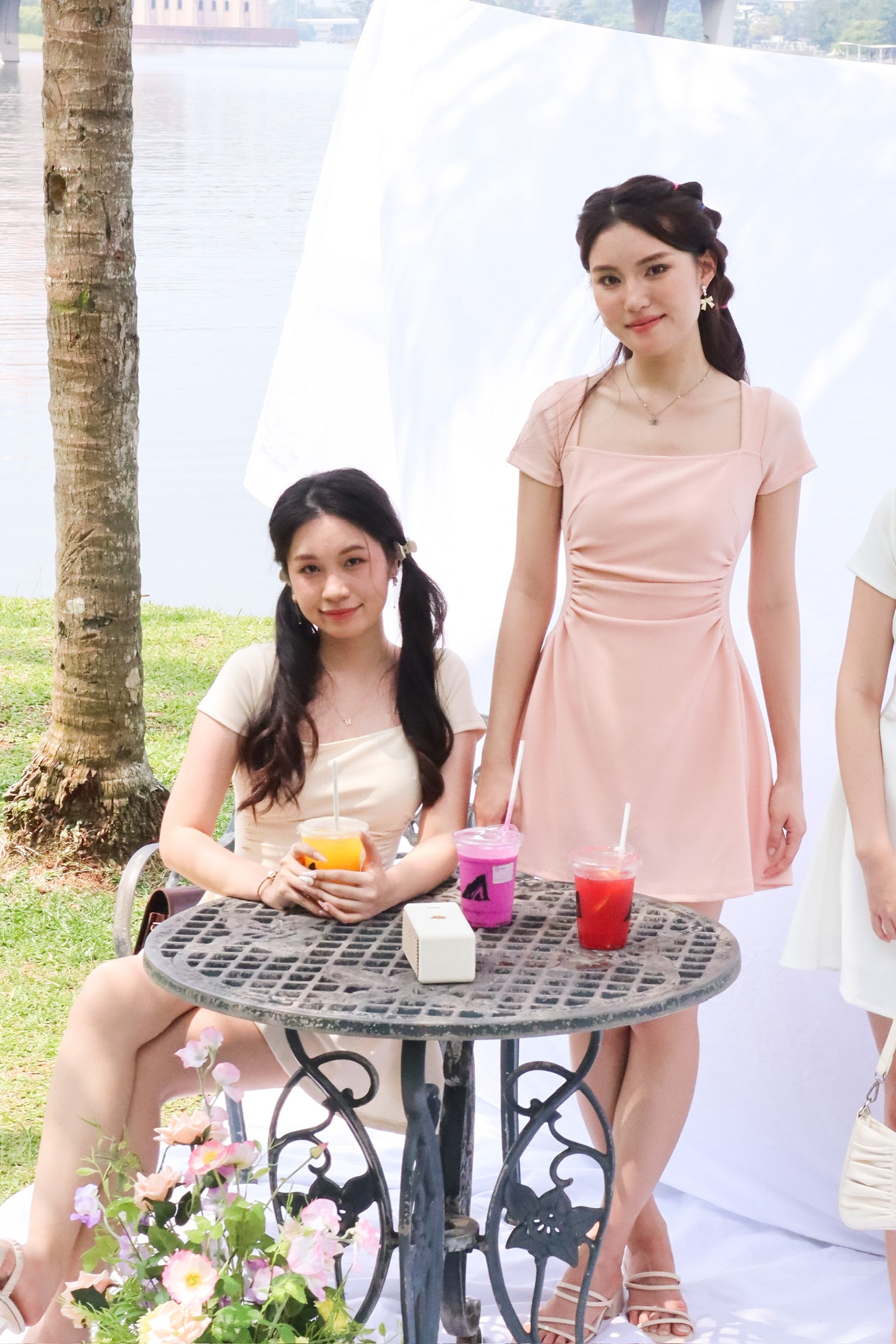 Karina Super Slim Sleeved Dress (Blush Pink)