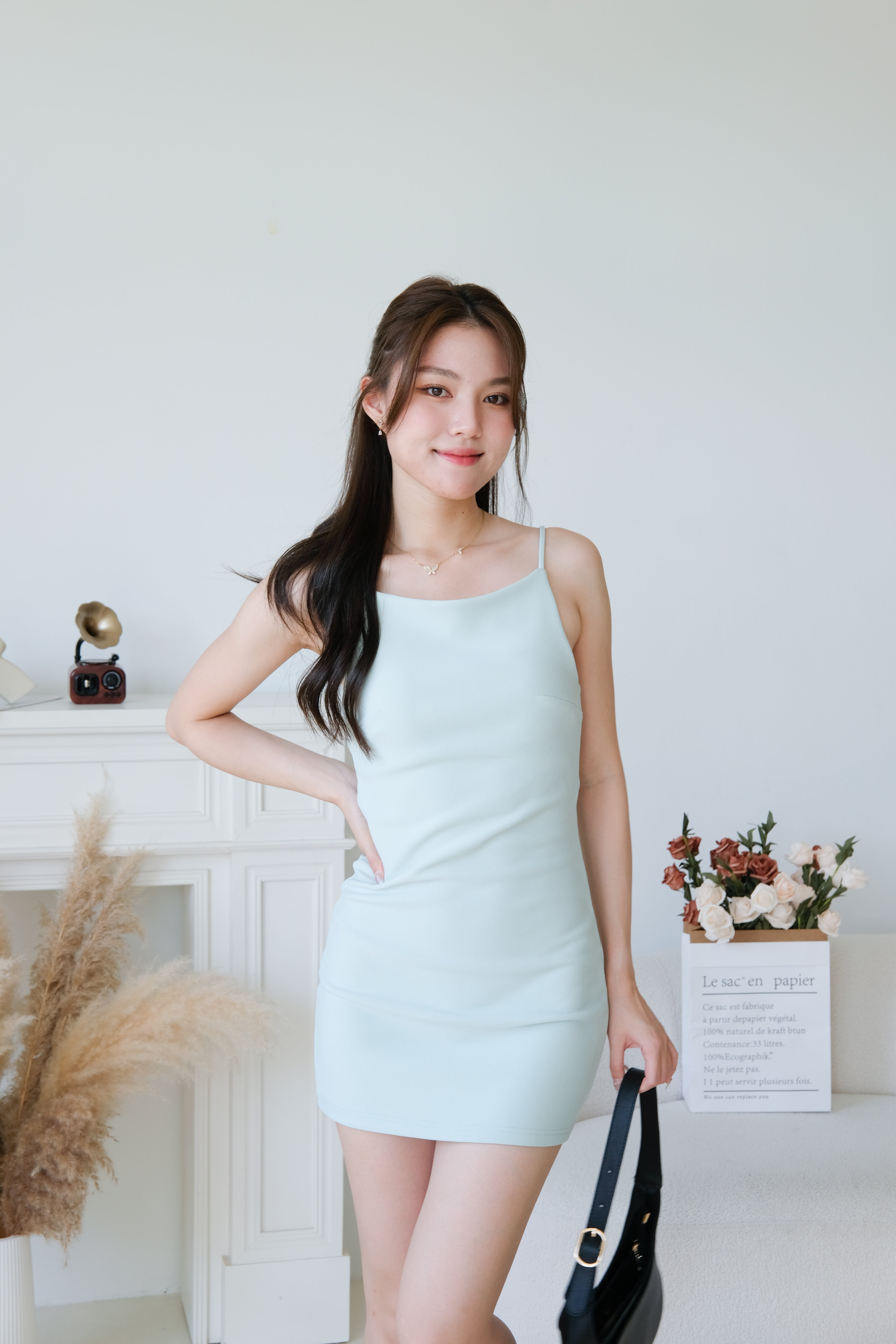 Lara A Line Shift Dress (Mint)